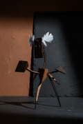 Scultura con piume bianche - ambientata
